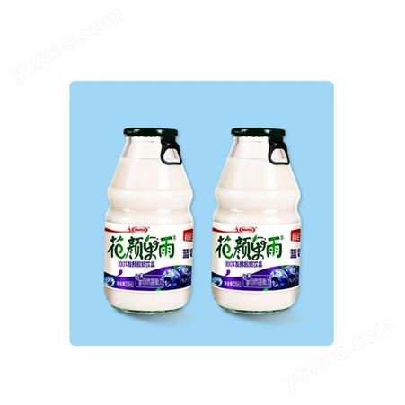每日椰发酵酸奶饮品220ml蓝莓草莓哈密瓜味新鲜奶源
