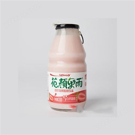 每日椰发酵酸奶饮品220ml蓝莓草莓哈密瓜味新鲜奶源