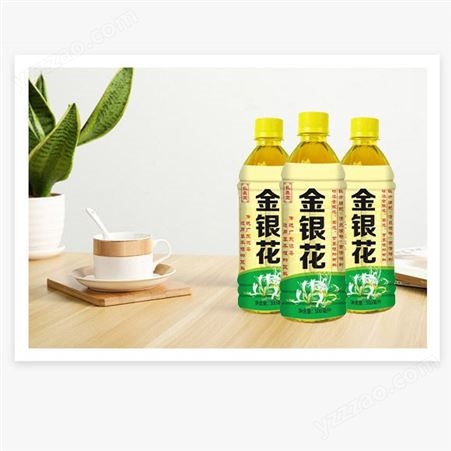 金银花植物饮料500ml凉茶饮品夏季饮料商超渠道