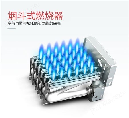 智能恒温强排16升冷凝式一级能效天然气液化气12L热水器