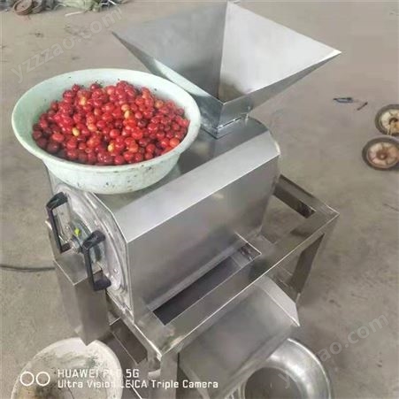 樱桃李枇杷去核打浆机 商用不锈钢果蔬脱水取汁机 工业螺旋榨汁机
