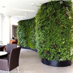 招牌形象绿化墙 真植物墙厂家 箐禾园林