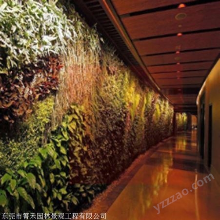 箐禾园林 植物墙现货供应 真植物墙 植物墙出售立体植物