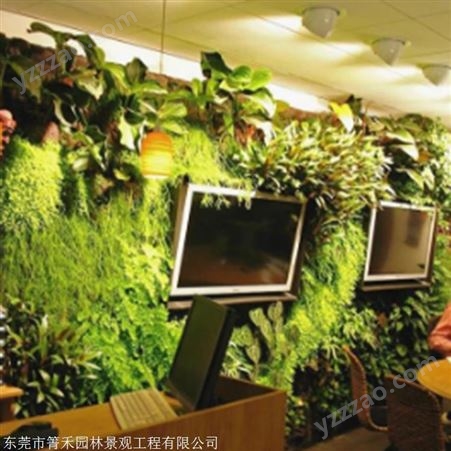 仿真植物墙厂家 植物墙出售立体植物供应 箐禾园林