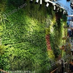 仿真植物墙制造厂 室外植物墙定制 厂家 箐禾园林