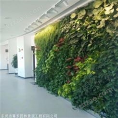 箐禾园林 立体绿化植物墙 植物墙定制 绿植墙