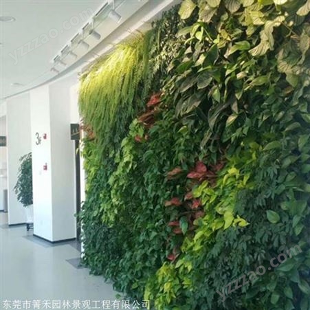 植物墙做法 绿植装饰墙  箐禾园林