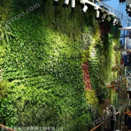 绿植墙 仿真植物墙制作安装 供应 箐禾园林