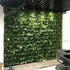 箐禾园林 植物墙做法 轻便多功能植物墙  仿真植物墙制作安装