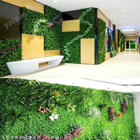 箐禾园林 植物墙现货供应 真植物墙 植物墙出售立体植物