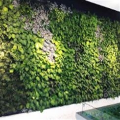 箐禾园林 植物墙定制 公司前台仿真植物墙 仿真植物墙公司绿化