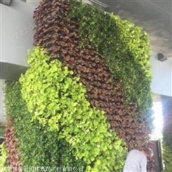 箐禾园林 人造植物墙  轻便多功能植物墙  仿真植物墙厂家