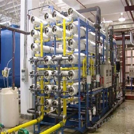 RO-250\1000/2000/3000工业RO0.25-50吨单双级反渗透纯水软化水去离子纯水设备