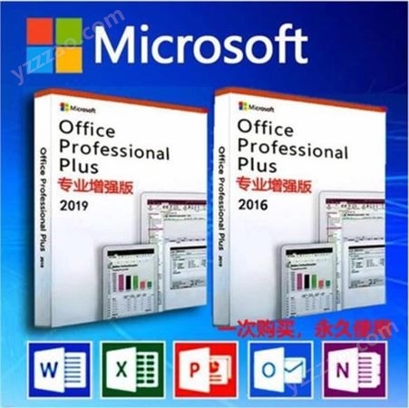 微软office2019专业版 企业正版化无忧 办公软件含税 彩包实物版