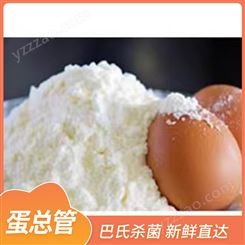 蛋清提取蛋白粉 纯鸡蛋黄粉 品类丰富 蛋总管 大量供应