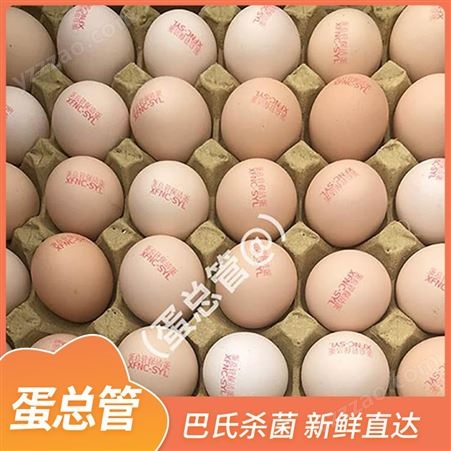 蛋总管 保洁鲜鸡蛋 清洁杀菌 农家散养 五谷饲养