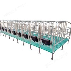 腾飞机械 保育定位栏 畜牧猪用限位栏 保育床限位栏