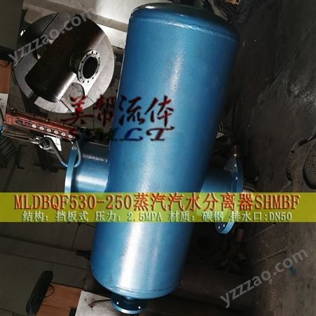 汽水分离器，饱和蒸汽(DN250）AS 挡板式蒸汽汽水分离器