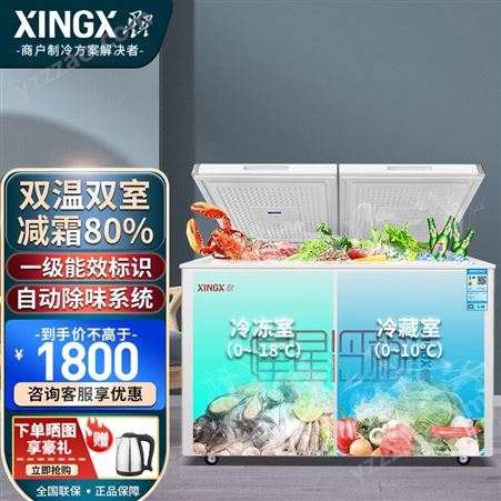 星星（XINGX）家用商用双温冰柜 双箱冷柜 一级能效 一机多用 左