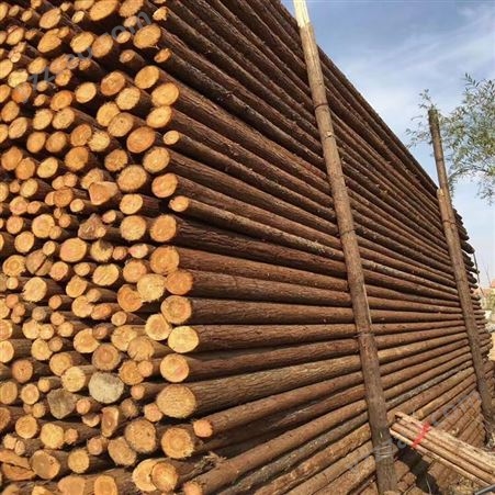 建亿建筑 精品杉木杆 园林绿化支撑杆 建筑打桩木 源产地发货
