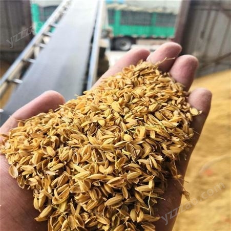 河北厂家直供稻壳 压块压缩稻壳 酿酒 公路绿化 牧场垫料