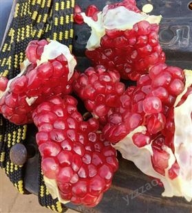 薄皮突尼斯软籽石榴精品大果 新鲜应季水果 果园现摘产地直发