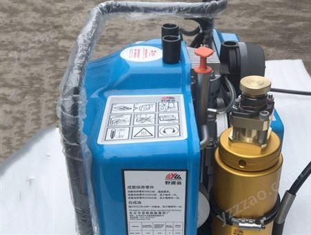 100E高压压缩空气充填泵 野渡翁空气充气泵 高压气瓶填充泵