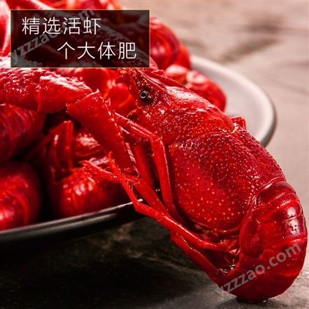 蟹小茉麻辣小龙虾熟食即食海鲜1.8kg(4-6钱)36-50